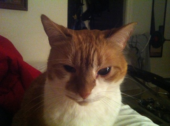 ../previews/000-Logan 043.jpg.medium.jpeg