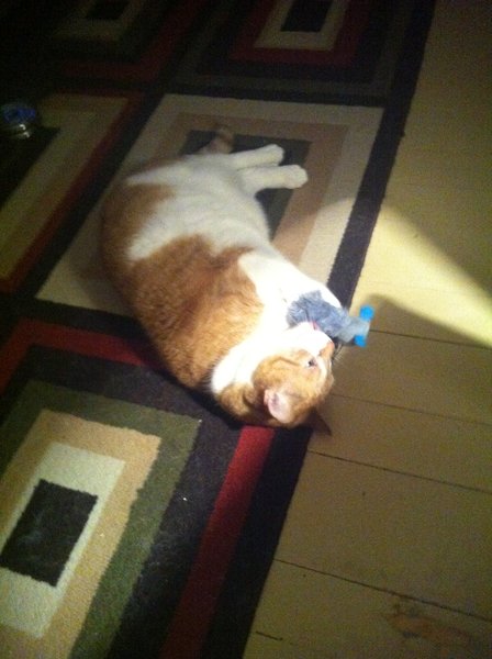 ../previews/001-Logan 028.jpg.medium.jpeg