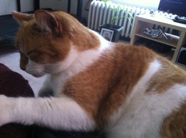 ../previews/005-Logan 069.jpg.medium.jpeg