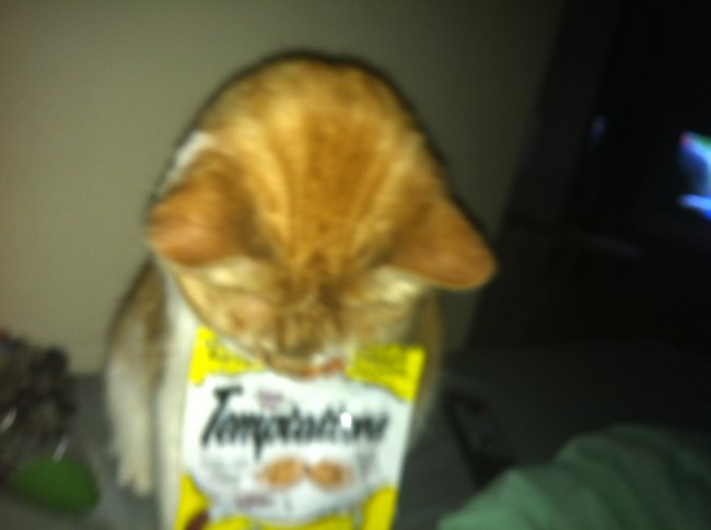 ../previews/006-Logan 074.jpg.medium.jpeg