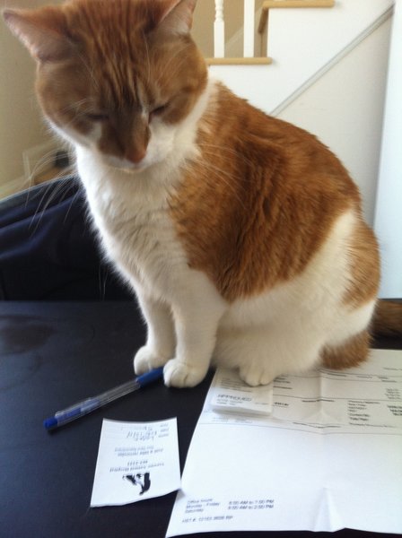 ../previews/007-Logan 081.jpg.medium.jpeg