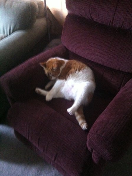 ../previews/008-Logan 086.jpg.medium.jpeg