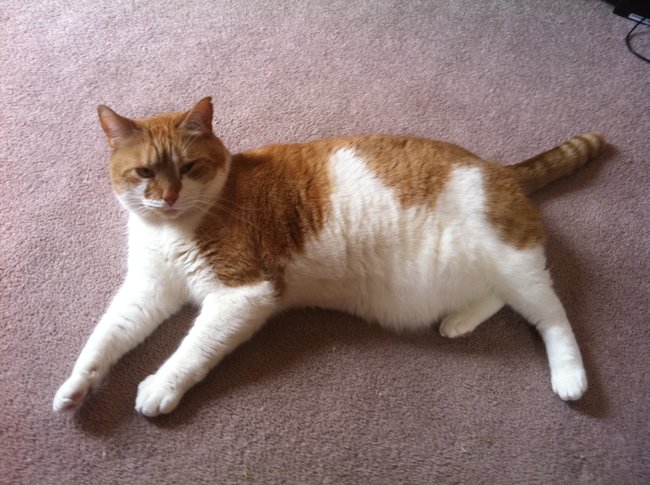 ../previews/011-Logan 099.jpg.medium.jpeg