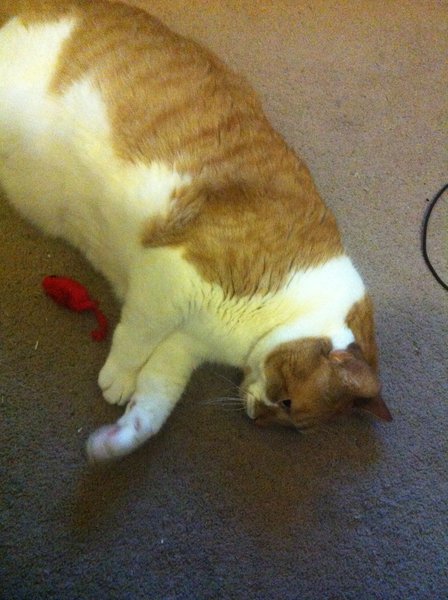 ../previews/020-Logan 039.jpg.medium.jpeg