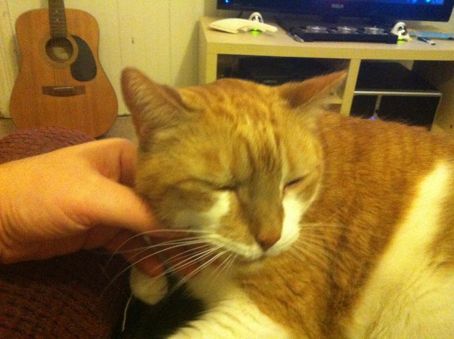 ../previews/022-Logan 042.jpg.medium.jpeg