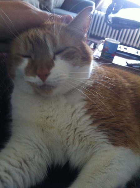 ../previews/024-Logan 080.jpg.medium.jpeg