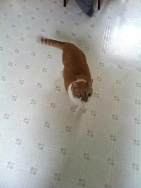 ../previews/025-Logan 082.jpg.medium.jpeg