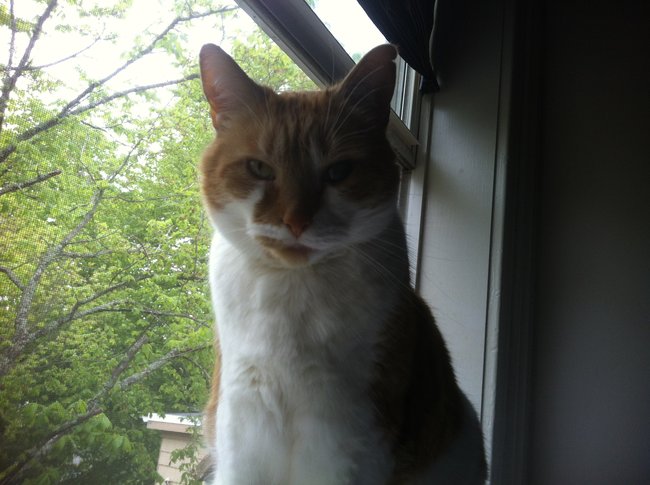 ../previews/034-Logan 030.jpg.medium.jpeg