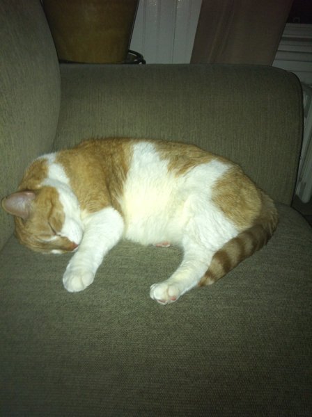 ../previews/039-Logan 079.jpg.medium.jpeg