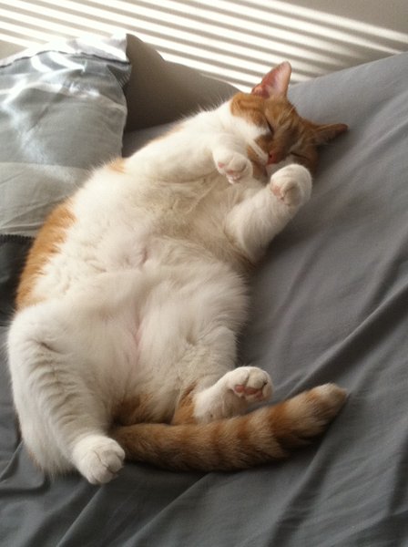 ../previews/040-Logan 095.jpg.medium.jpeg