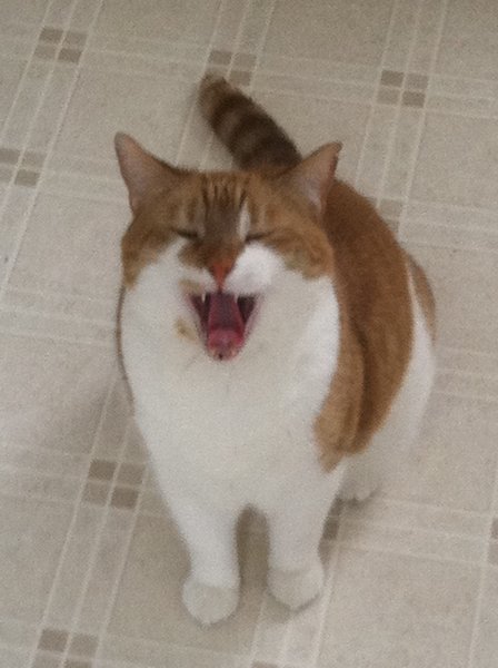 ../previews/043-Logan 114.jpg.medium.jpeg