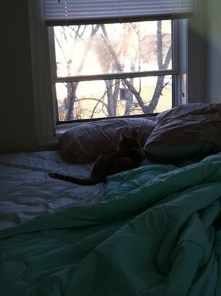 ../previews/045-Logan 120.jpg.medium.jpeg