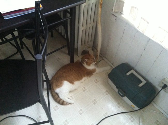 ../previews/047-Logan 073.jpg.medium.jpeg