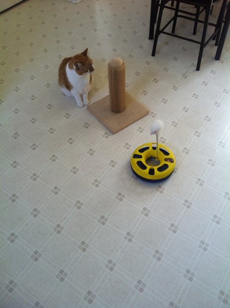 ../previews/051-Logan 083.jpg.medium.jpeg