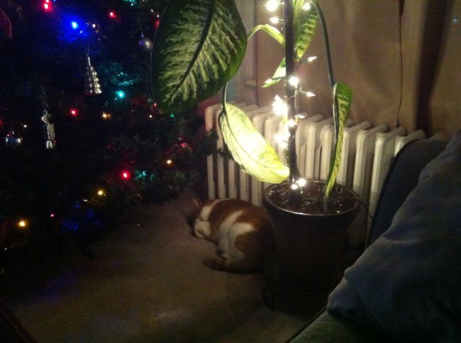 ../previews/057-Logan 096.jpg.medium.jpeg