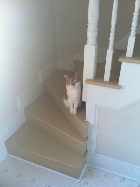 ../previews/060-Logan 105.jpg.medium.jpeg