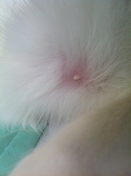 ../previews/061-Logan 106.jpg.medium.jpeg