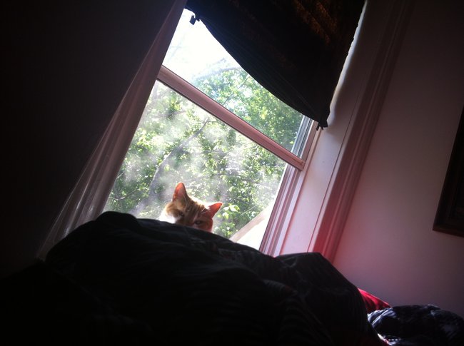 ../previews/066-Logan 034.jpg.medium.jpeg