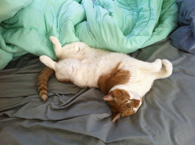 ../previews/068-Logan 077.jpg.medium.jpeg