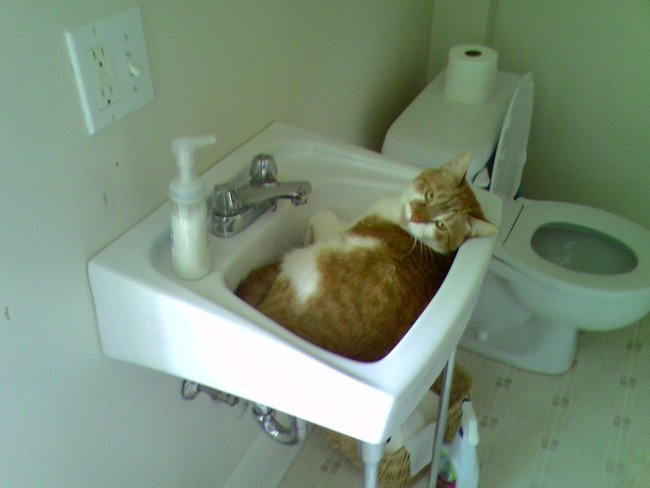 ../previews/073-Logan 107.jpg.medium.jpeg