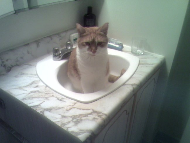 ../previews/074-Logan 111.jpg.medium.jpeg