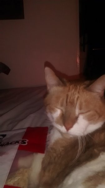 ../previews/076-Logan 063.jpg.medium.jpeg