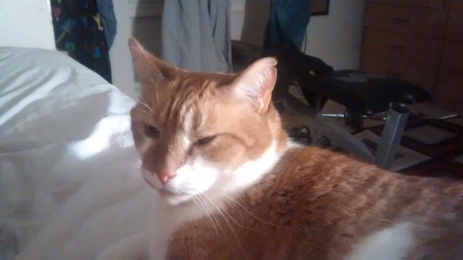 ../previews/078-Logan 061.jpg.medium.jpeg