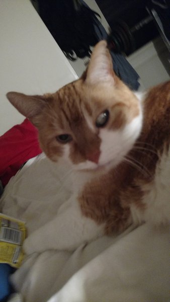 ../previews/083-Logan 044.jpg.medium.jpeg