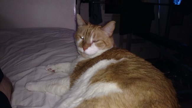 ../previews/087-Logan 048.jpg.medium.jpeg