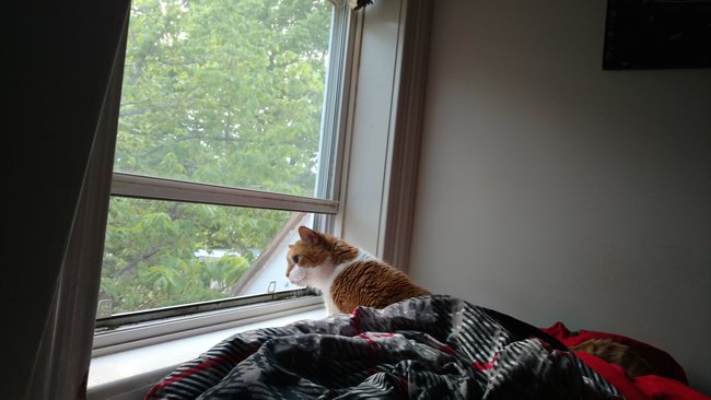 ../previews/089-Logan 050.jpg.medium.jpeg