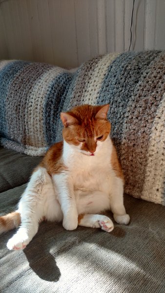 ../previews/090-Logan 051.jpg.medium.jpeg