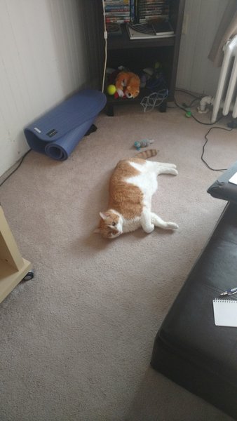 ../previews/091-Logan 052.jpg.medium.jpeg