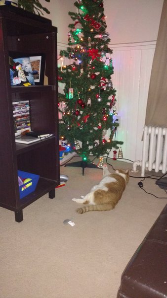 ../previews/093-Logan 054.jpg.medium.jpeg