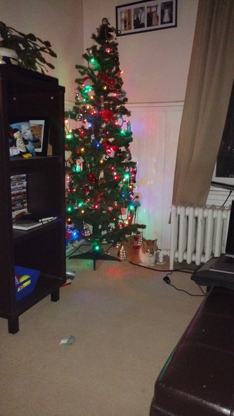 ../previews/095-Logan 056.jpg.medium.jpeg