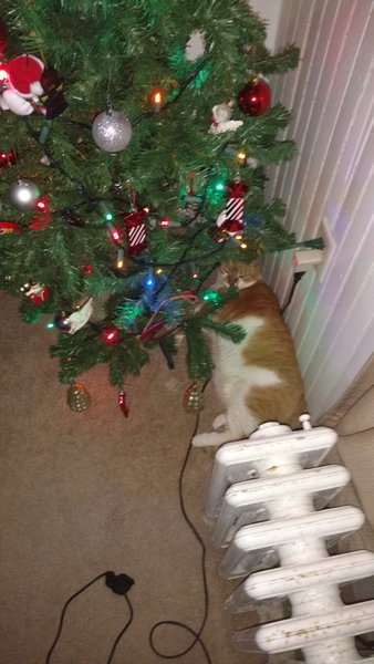 ../previews/097-Logan 058.jpg.medium.jpeg