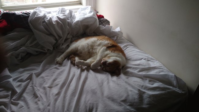 ../previews/098-Logan 059.jpg.medium.jpeg