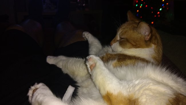 ../previews/099-Logan 001.jpg.medium.jpeg