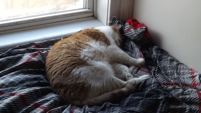 ../previews/102-Logan 060.jpg.medium.jpeg