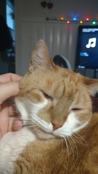 ../previews/104-Logan 005.jpg.medium.jpeg