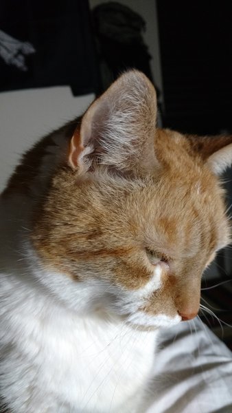 ../previews/108-Logan 009.jpg.medium.jpeg