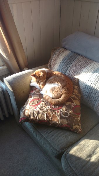 ../previews/109-Logan 010.jpg.medium.jpeg