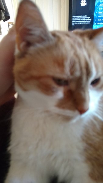 ../previews/118-Logan 019.jpg.medium.jpeg